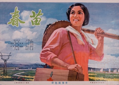 東京国際大学 Computer Science Degree Certificate